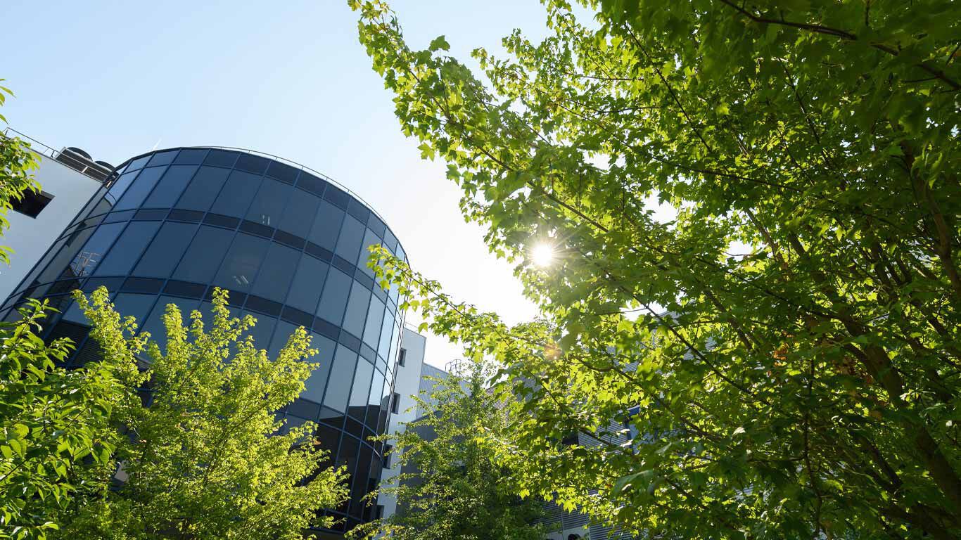 Image du siège de Kneipp avec des arbres verts, le soleil brille
